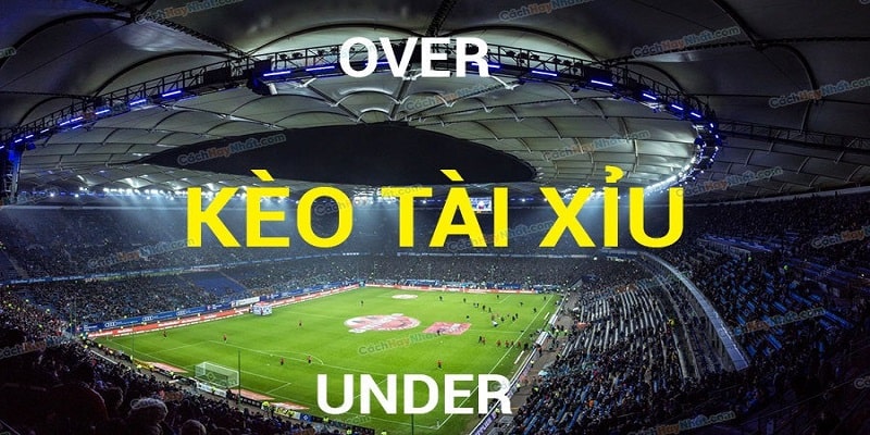 Bí kíp bắt kèo hiệu quả nhất năm 2024