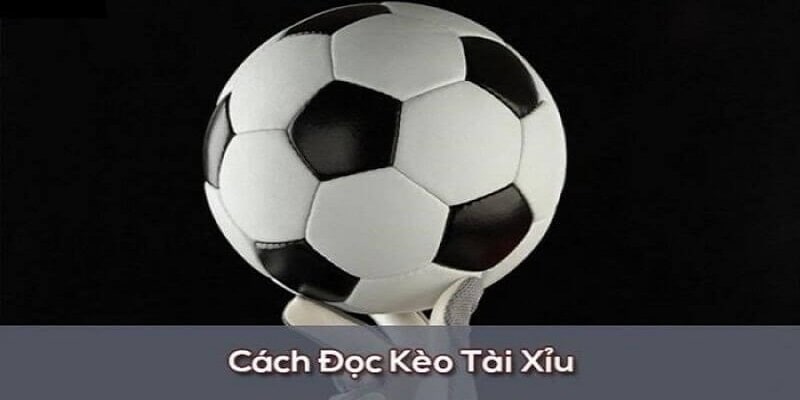 Hướng dẫn cách đọc kèo cụ thể cho hội viên mới