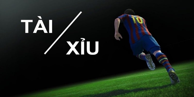 Những câu hỏi thường gặp liên quan tới hình thức cược tài xỉu